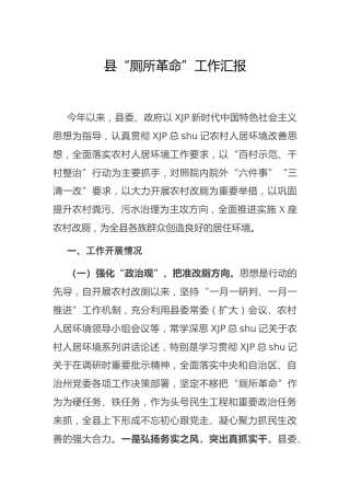 “厕所革命”工作汇报