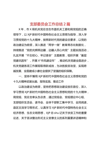 支部委员会工作总结2篇