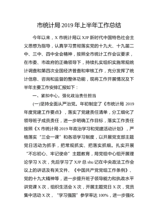 统计局2019年半年工作总结（3100字）