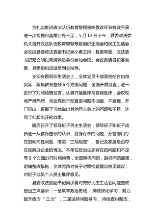 政法队伍教育整顿专题民主生活会召开情况汇报