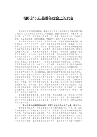 组织部长在务虚会上的发言