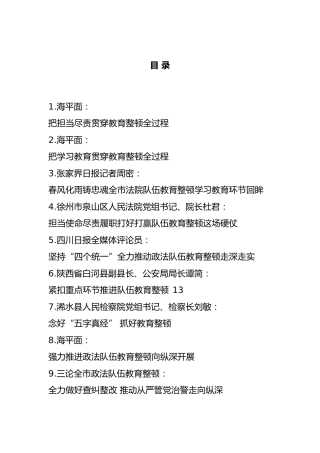 政法队伍教育整顿理论文章合集16篇