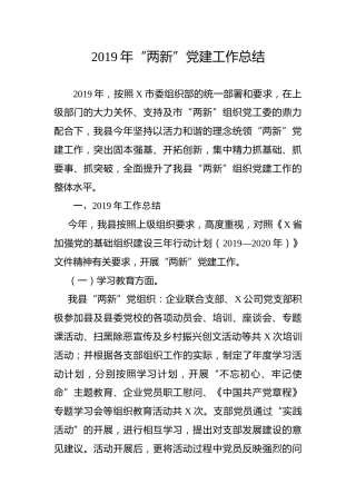2019年两新党建工作总结（3500字）