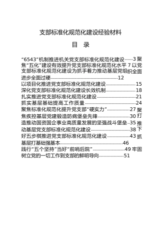 支部标准化规范化建设工作经验总结合集20篇