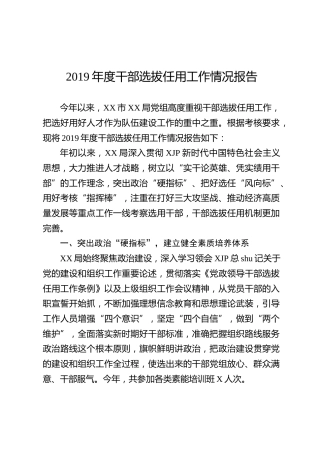 2019年度干部选拔任用工作情况报告（2400字）
