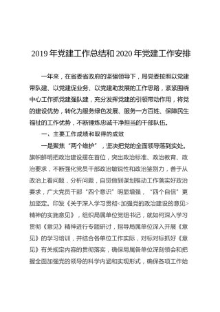 2019党建工作总结和2020年党建工作安排（4500字）