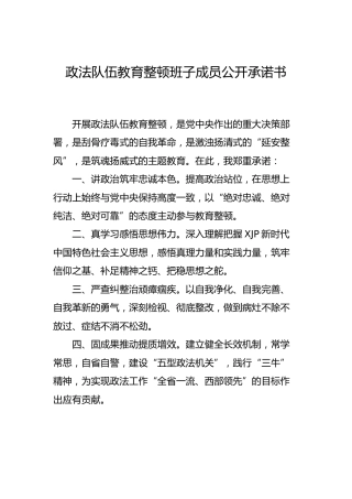 政法队伍教育整顿班子成员公开承诺书