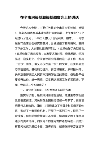 在河长制湖长制调度会上的讲话