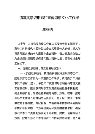 乡镇上半年意识形态和宣传思想文化工作总结