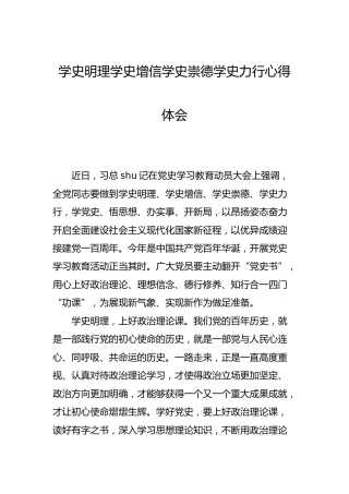 学史明理 学史增信 学史崇德 学史力行心得体会（党史）