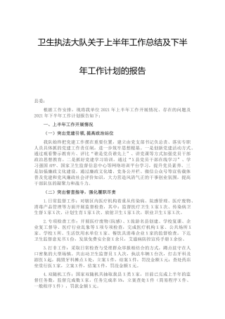 卫生执法大队2021上半年工作总结