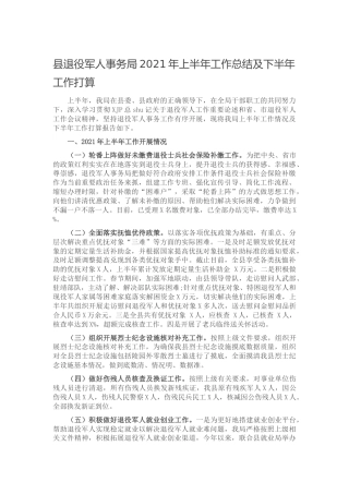 退役军人系统2021年上半年工作总结2篇