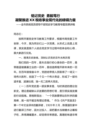 税务系统党史党课13000字