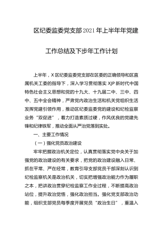 纪委监委党支部2021年上半年党建工作总结