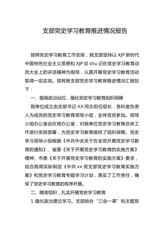 党支部党史学习教育推进情况总结报告