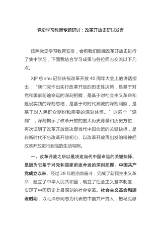 党史改革开放史研讨发言2800字