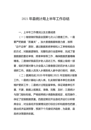 2021年上半年工作总结2篇（统计、税务）