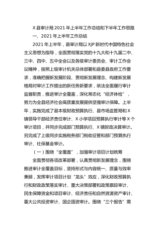 2021年上半年工作总结2篇（审计、司法）