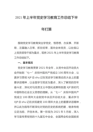 2021年上半年党史学习教育工作总结及下半年打算