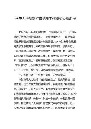 党建经验：学史力行创新打造党建工作模式经验汇报（财政）