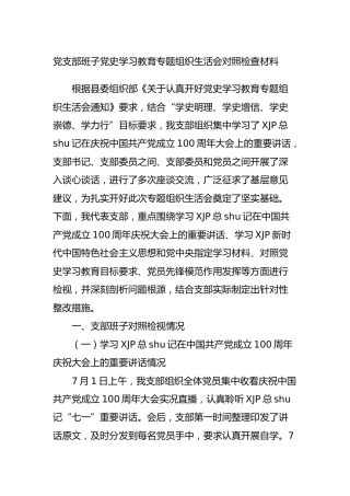 支部班子党史专题组织生活会剖析4400字