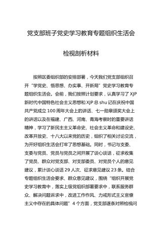 支部班子党史专题组织生活会检视剖析5300字