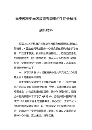 支部班子党史专题组织生活会检视剖析3100字