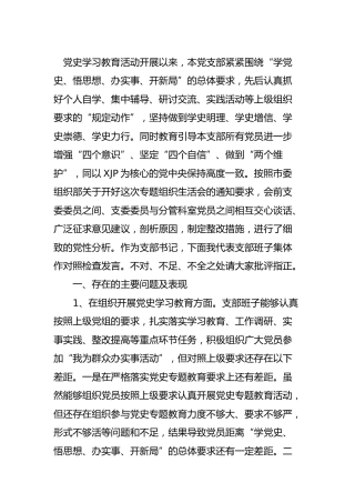 支部班子党史专题组织生活会对照检查材料3600字
