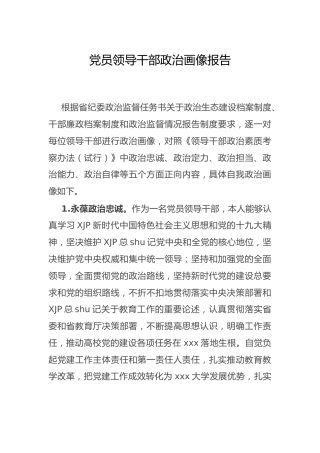 政治画像报告