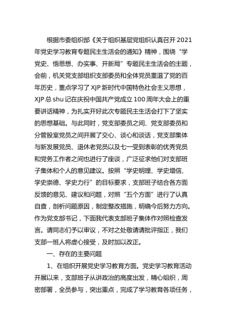 政法委党支部班子党史专题组织生活会对照检查材料3400字