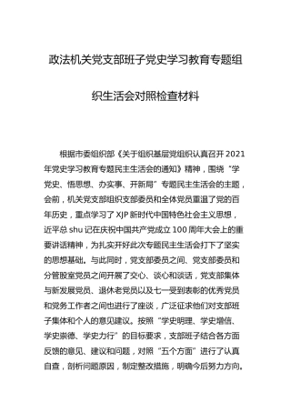 政法机关党支部班子党史专题组织生活会对照检查3500字