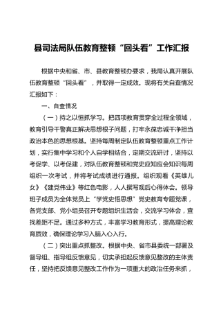 政法队伍教育整顿“回头看”工作总结汇报（司法）