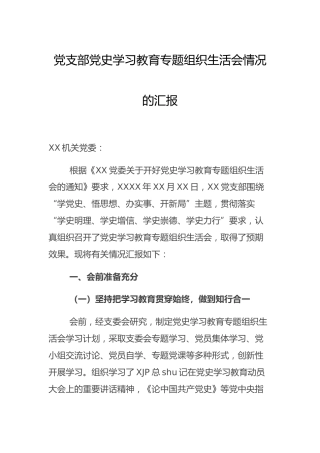 支部党史专题组织生活会情况总结汇报2200字