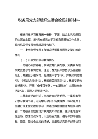 支部班子党史专题组织生活会剖析材料（税务，含上半年总结）