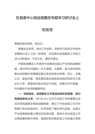 在中心组巡视整改专题学习研讨会上的发言
