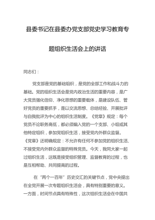 在支部党史专题组织生活会上的讲话