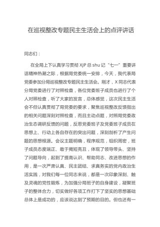 在巡视整改专题民主生活会上的点评讲话3400字
