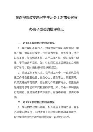 在巡视整改专题民主生活会上的相互批评意见