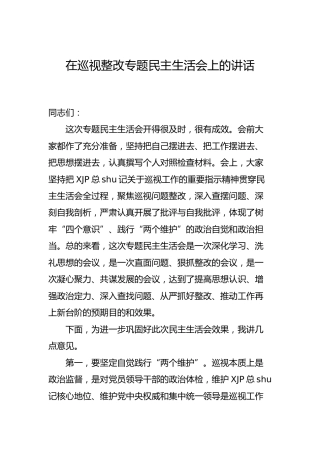 在巡视整改专题民主生活会上的讲话1200字