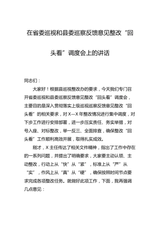 在巡视和巡察反馈意见整改“回头看”调度会上的讲话