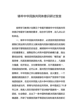 铸牢中华民族共同体意识研讨发言2篇