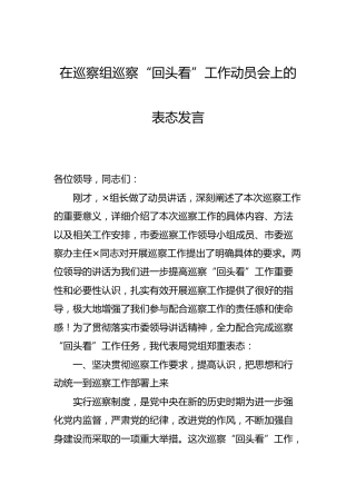 在巡察“回头看”工作动员会上的表态发言