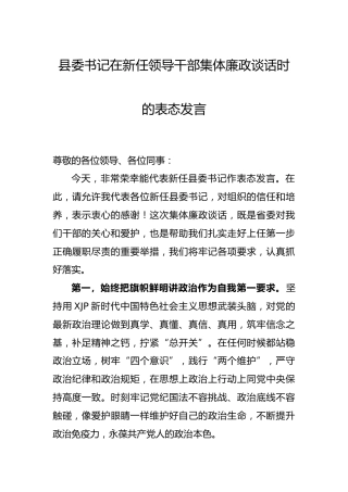 在新任领导干部集体廉政谈话时的表态发言
