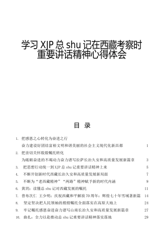总书记西藏考察重要讲话精神心得体会、研讨发言合集17篇