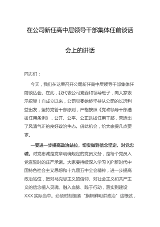 在公司新任领导干部任前谈话会上的讲话1500字