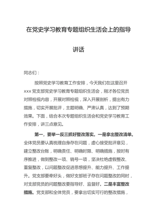在党史专题组织生活会上的指导讲话1600字