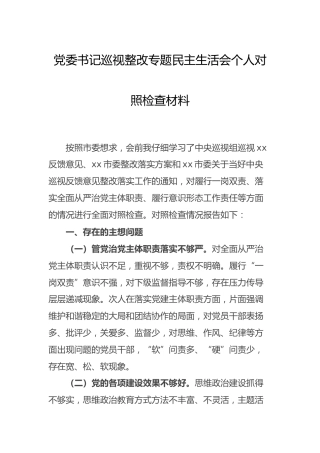 巡视整改专题民主生活会个人对照检查2300字
