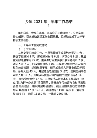 乡镇2021年上半年工作总结合集12篇