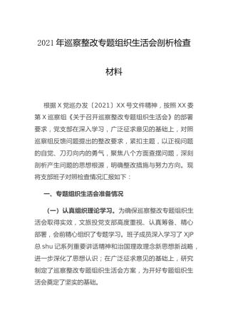 巡察整改专题组织生活会班子剖析2500字