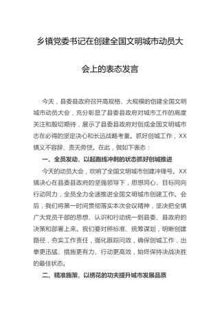 在创建文明城市动员大会上的表态发言（乡镇）